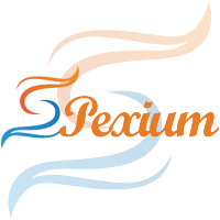 SPEXIUM INFOTECH PRIVATE LIMITED Avatar