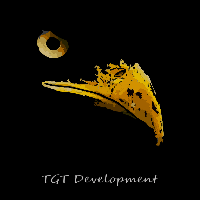 TGT Development Studio Avatar