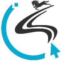 STALLYONS TECHNOLOGIES