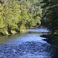 River Bend Social