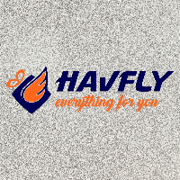 HAVFLY SERVICES Avatar