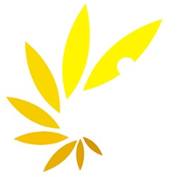 iDev Solutions Avatar