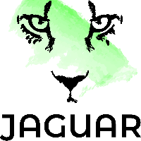 Jaguar Media Solutions & Consulting, Inc Avatar