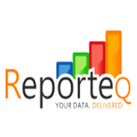 Reporteq Avatar