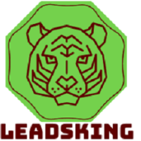 LeadsKing IT Avatar