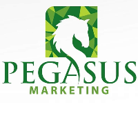 Pegasus Marketing Pvt Ltd Avatar