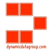 Dynamic Data Group, LLC Avatar