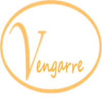 Vengarre Avatar
