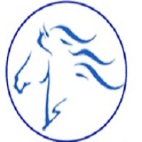 Asvam Infotech Avatar