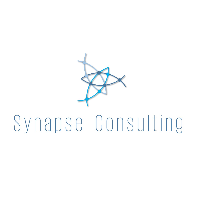 Synapse Consulting Inc. Avatar