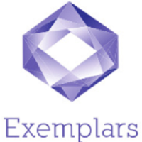 Exemplars IT Services Avatar