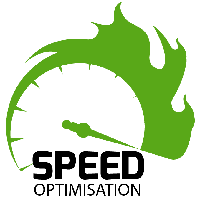 Speed Optimisation Avatar