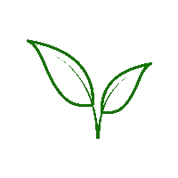 Sprout Tech Avatar