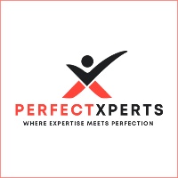 PerfectXPERTS Avatar