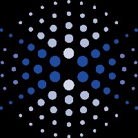 Parallel Analytica Avatar