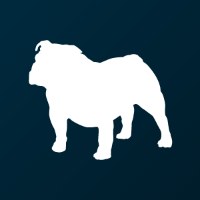 Buldok Marketing Avatar