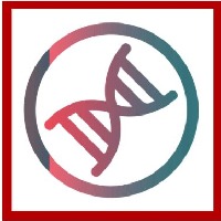RDBX Solutions Avatar
