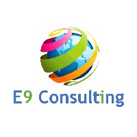 E9 Consulting Avatar