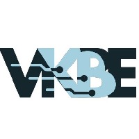 VKBE Consulting Avatar