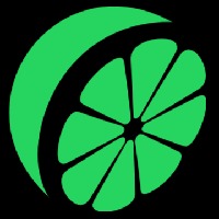 DataLime Avatar