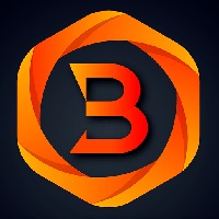 Brandfuture IT Services Avatar