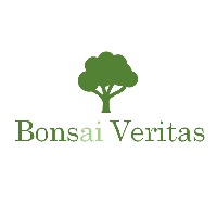 Bonsai Veritas Avatar