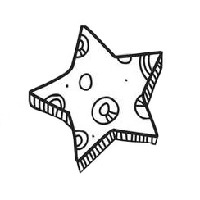 StarLight Agency