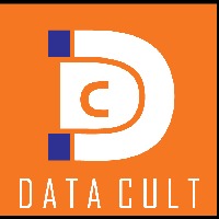 Data Cult