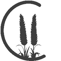 Cogon Digital Avatar