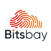 Bitsbay Solutions Avatar