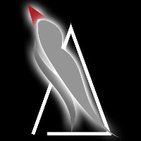ARCTERN DIGITAL AGENCY Avatar