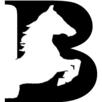 Blackcoffer (OPC) Pvt Ltd Avatar
