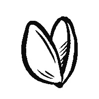 Lost Pistachio Avatar