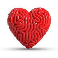 BrainHeart development Avatar