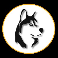Lighthusky Technologies Pvt. Ltd. Avatar