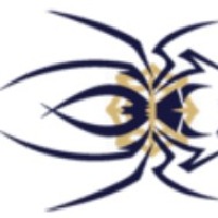 Spiderweb Technologies Avatar