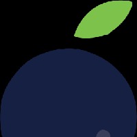 Purpleplum Digital Solutions Avatar