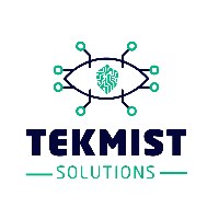 Tekmist Solutions Avatar