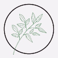 Freelance Web Content Avatar