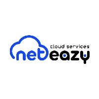 Neteazy LLC. Avatar