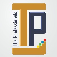 The Professionals Avatar