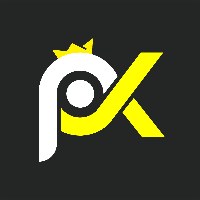 Programming Kings LLC Avatar