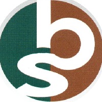 Brainstorm Accounting & Bookkeeping Avatar