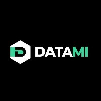 DATAMI CYBERSECURITY TEAM - penetration testing, code review, protection 24/7, anti DDoS, reverse engineering 