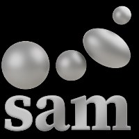 Silver Ant Marketing - Digital Marketing Agency Avatar