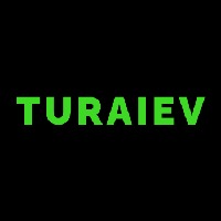 TURAIEV - GOAL-DRIVEN IT DEVELOPMENT COMPANY 🌵 Avatar
