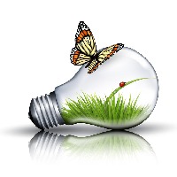 AM Creative Services Avatar