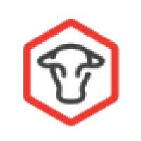 MooCow Creative Avatar