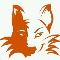 SmartFox IT Solutions Avatar