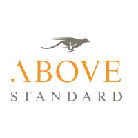 ABOVE STANDARD Avatar